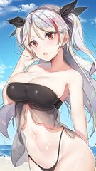 关于胴体回忆未审核版